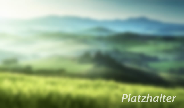 Stärken Innovationen